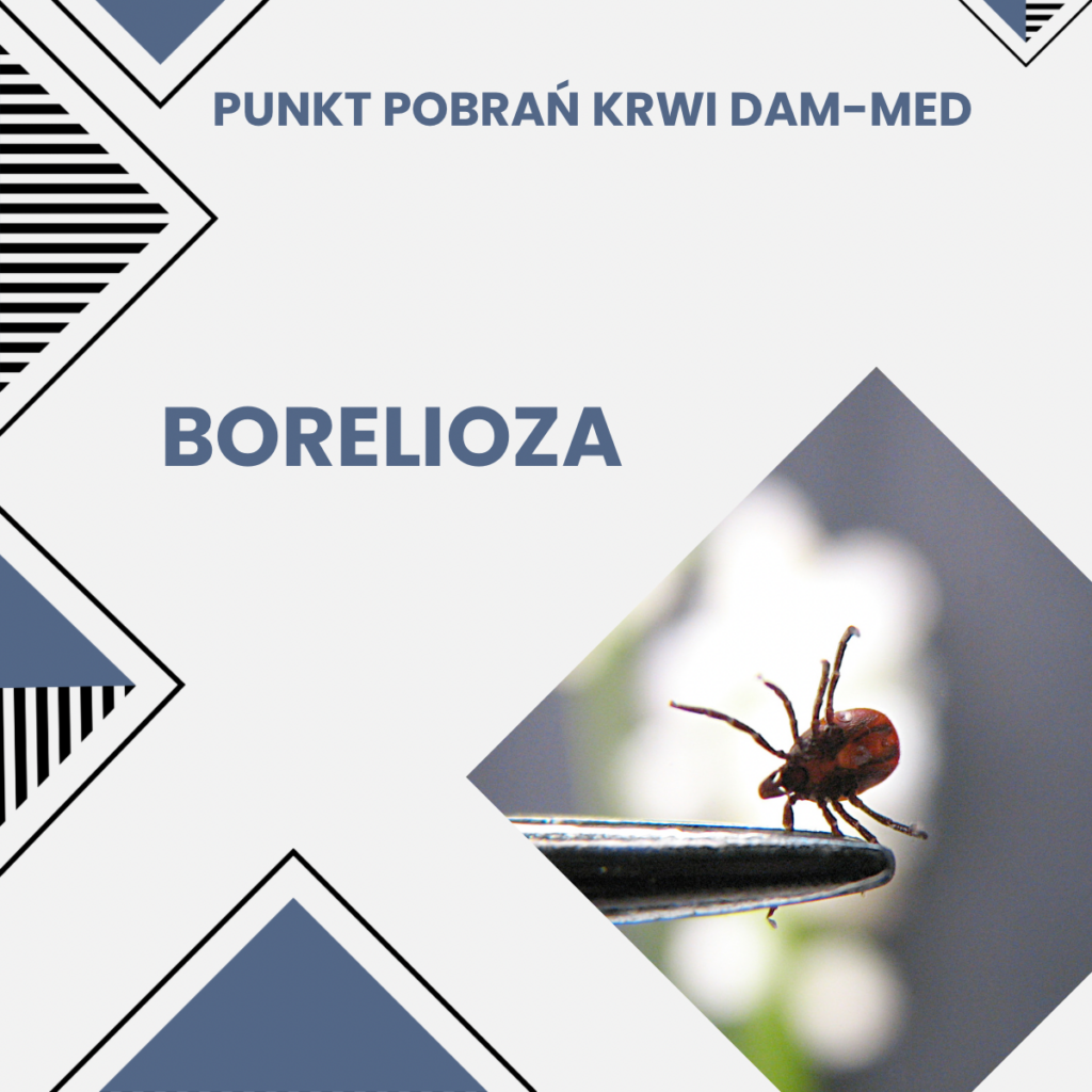 borelioza